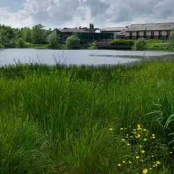  - Annandale Water